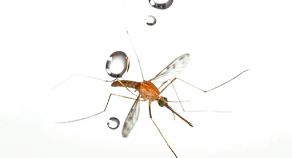 Riding raindrops