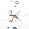 Riding raindrops