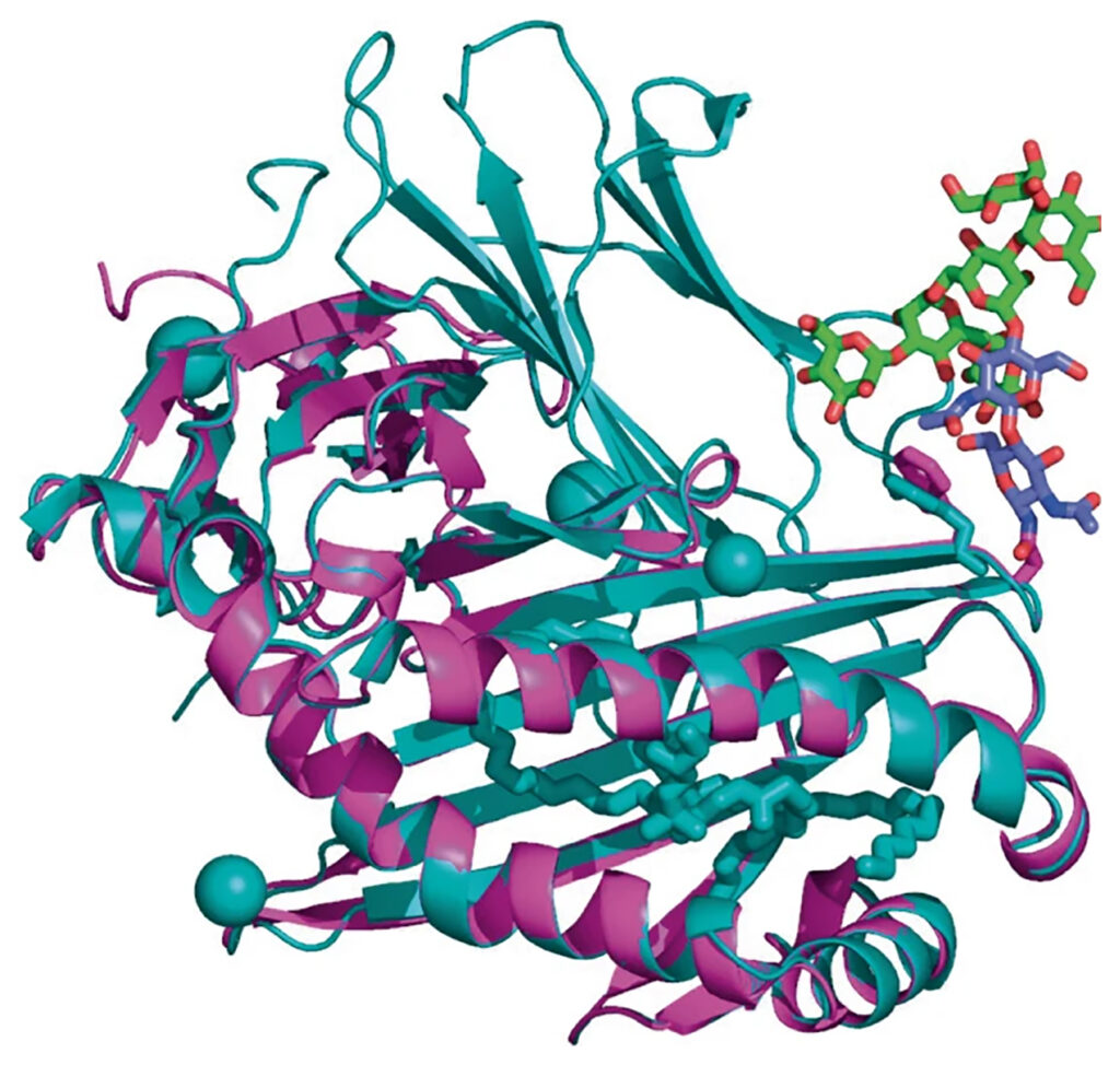 Pnas.2202107119fig01 1024x974
