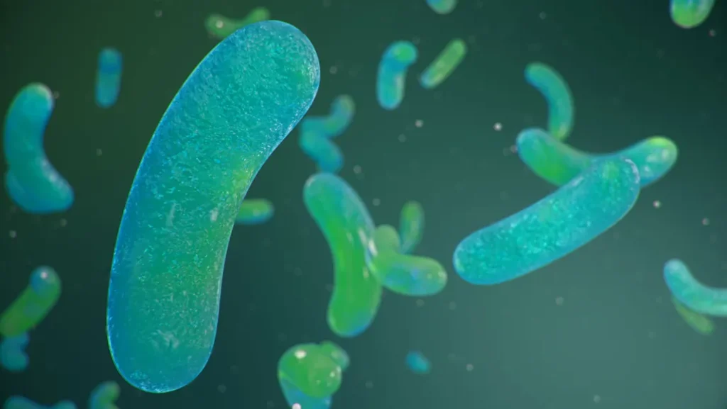 Looking for LUCA, everyone’s shared ancestor 1440 LUCA Bacteria Feat 1024x577